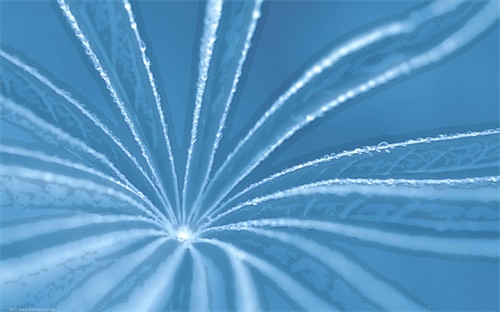 为什么有的用不了花呗(为什么有的用不了花呗支付)