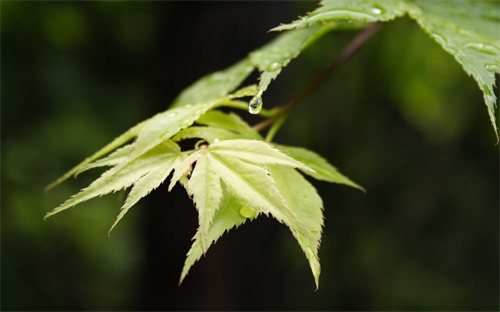 工商银行为什么不能转账到支付宝转账(工商银行网银可以直接转账到支付宝吗)